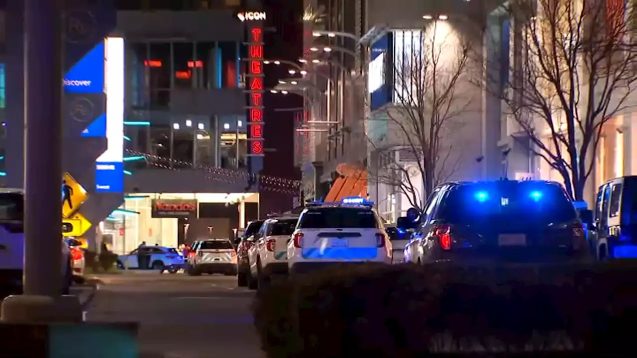 Gunshots Fired Inside South Loop Movie Theater Saturday Evening: Police