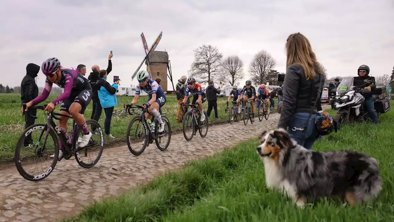 Overal wielergeschiedenis in Roubaix, maar je moet soms geluk hebben het te vinden