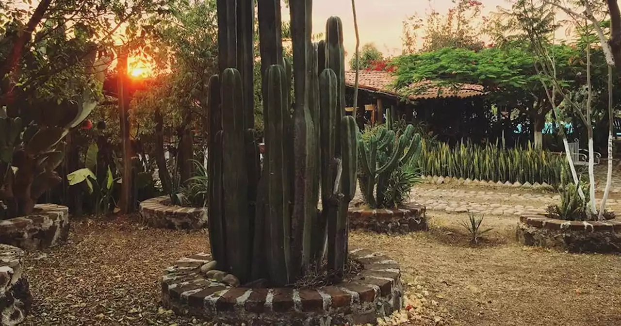 Rancho La Cumbre en Irapuato: la mejor opción para salir de la ciudad y descansar en el campo