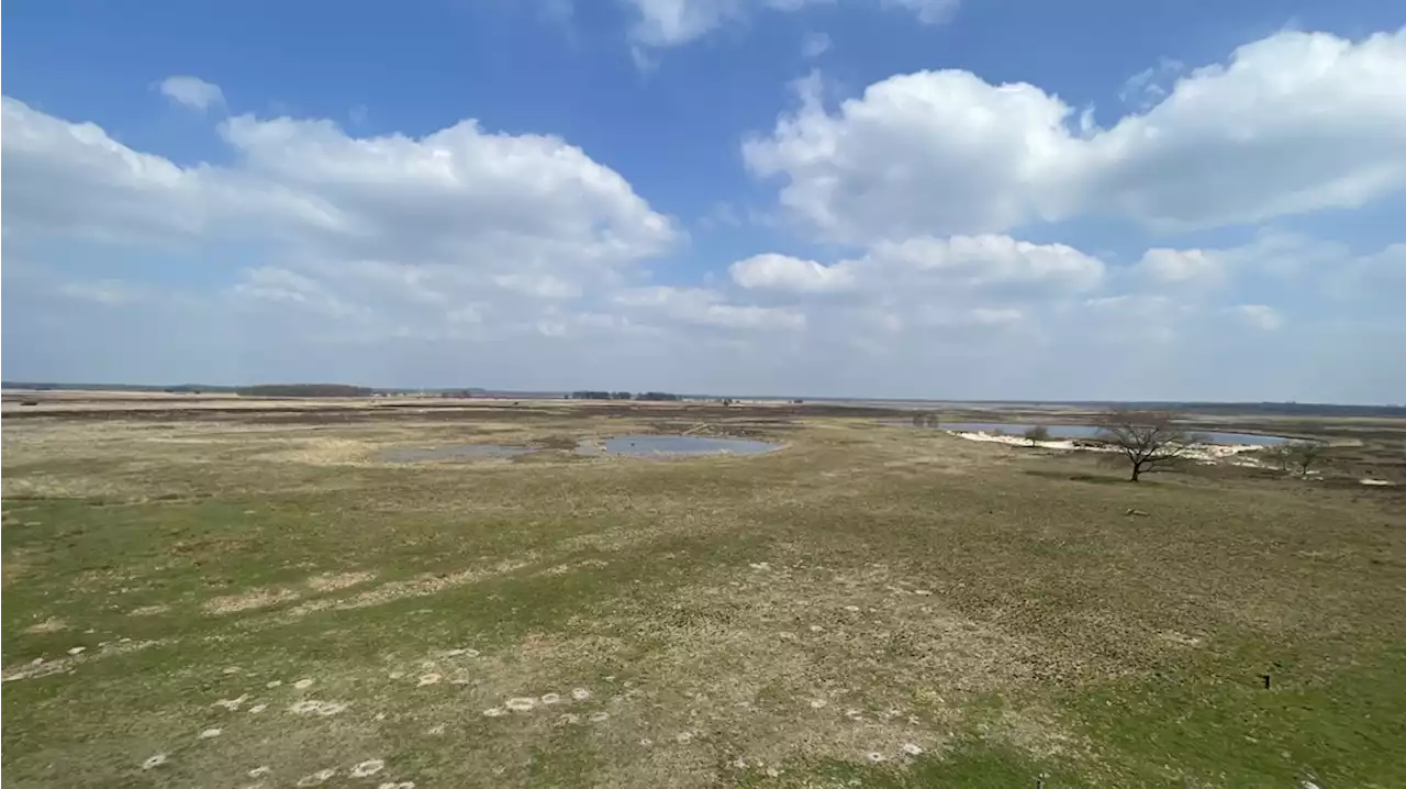 Drukte in natuur met Pasen: blijf op de paden