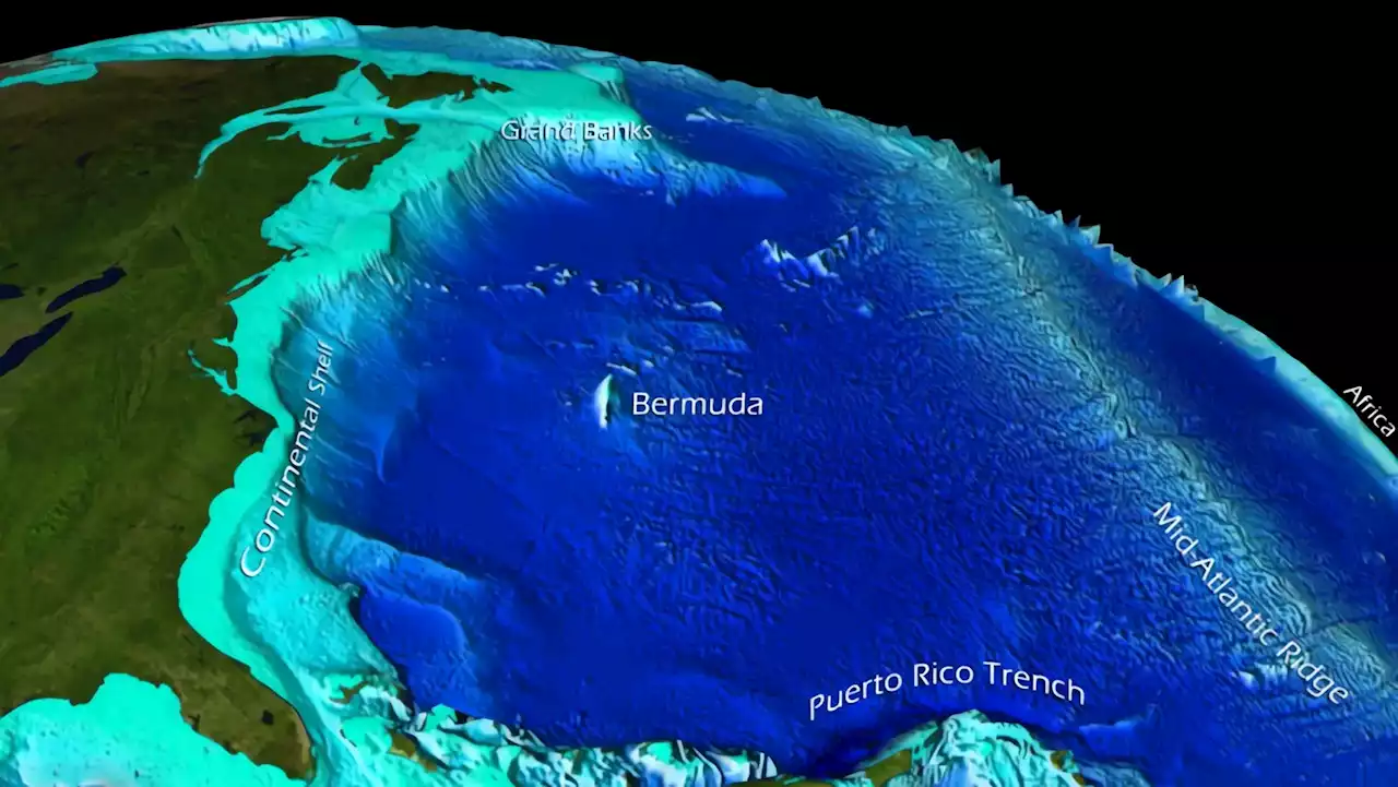 Deep Trouble: New Study Reveals Marine Heat Waves Reach the Ocean Floor