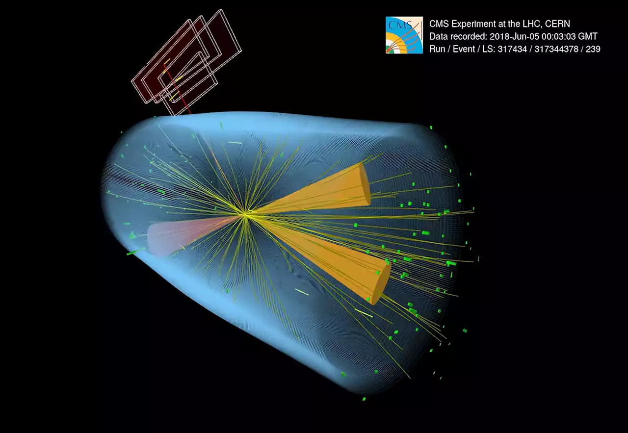 The Higgs Boson Mystery: When Nature Defies Expectations