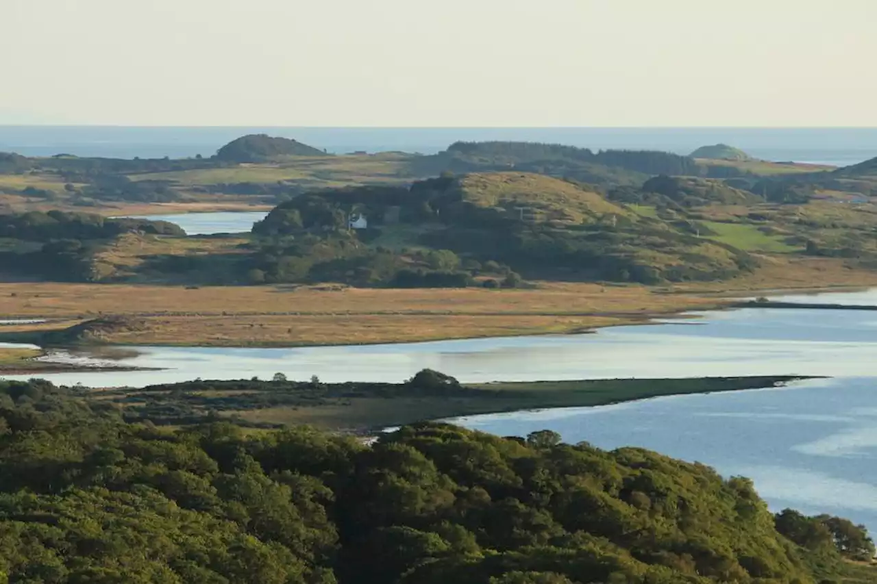 High hopes for nature recovery after multi-million pound sale to rewilding project