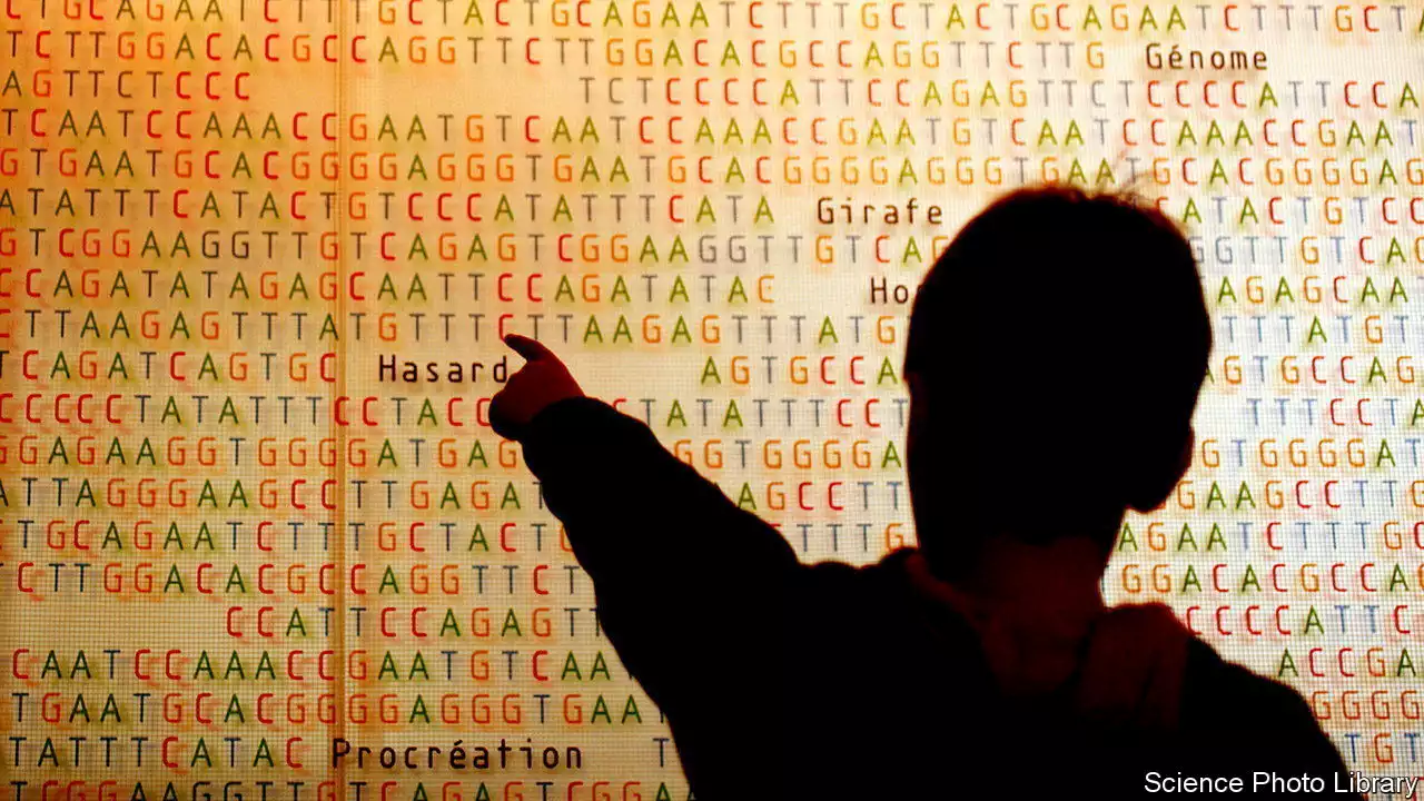 How the Human Genome Project revolutionised biology