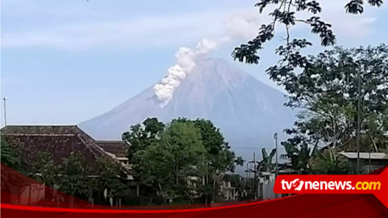 Alami Erupsi, Gunung Semeru Muntahkan Guguran Lava Sejauh 1.500 Meter ke Arah Curah Kobokan