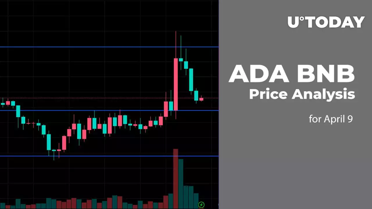 ADA and BNB Price Analysis for April 9