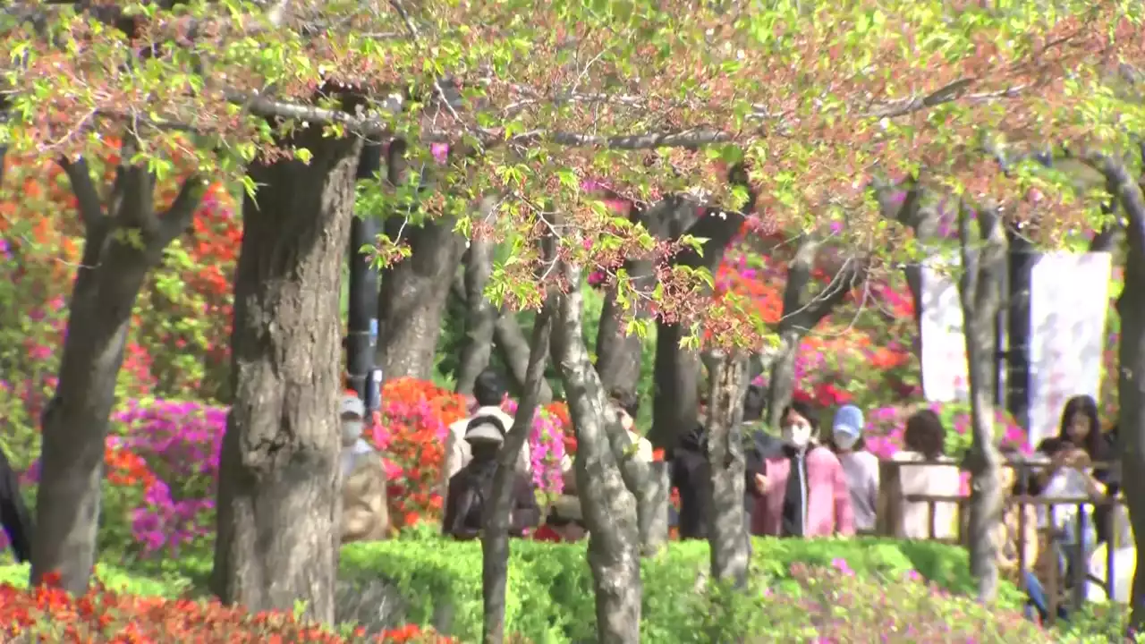 [날씨] 휴일 낮부터 따뜻한 봄...영동 건조에 강풍