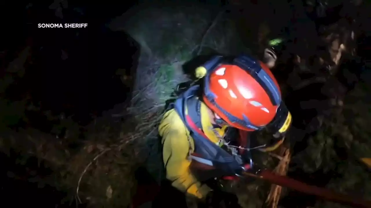 Driver recovering from major injuries after car goes over cliff on Mt. Tamalpais, sheriff says