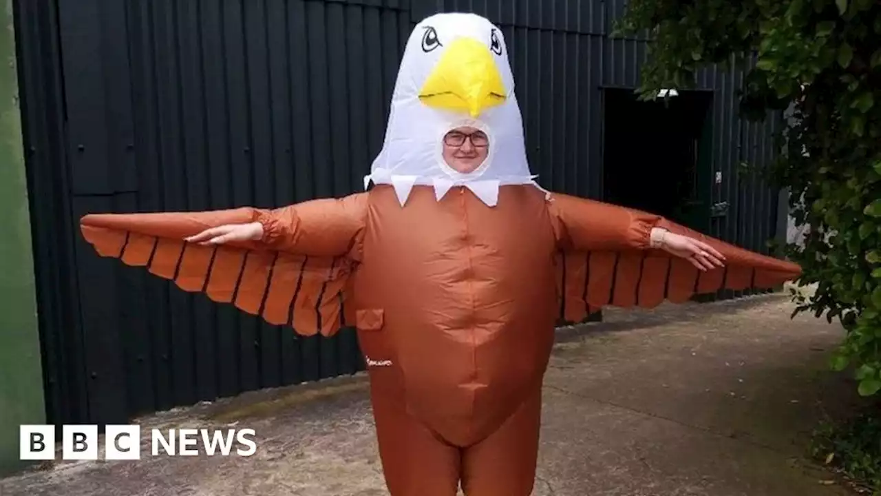 Blackpool Zoo's seagull-scaring jobs attract 200 applicants