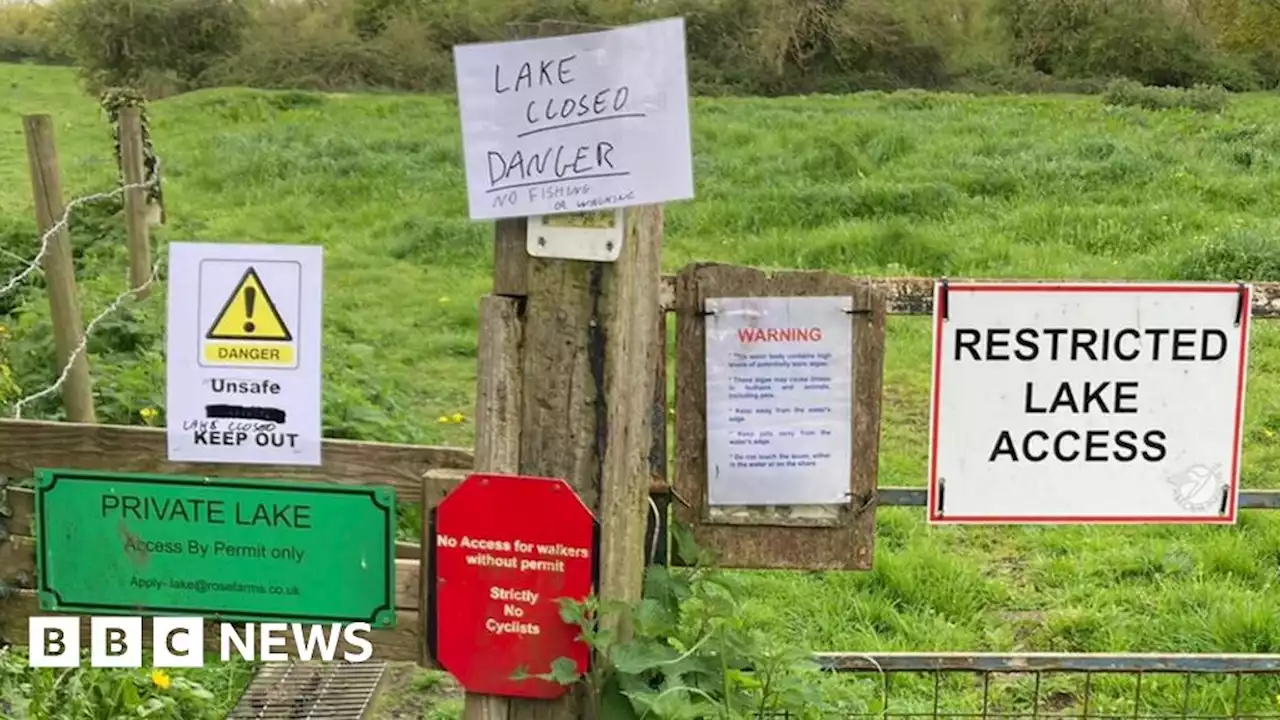 Suspected dog poisonings at Lincolnshire beauty spot