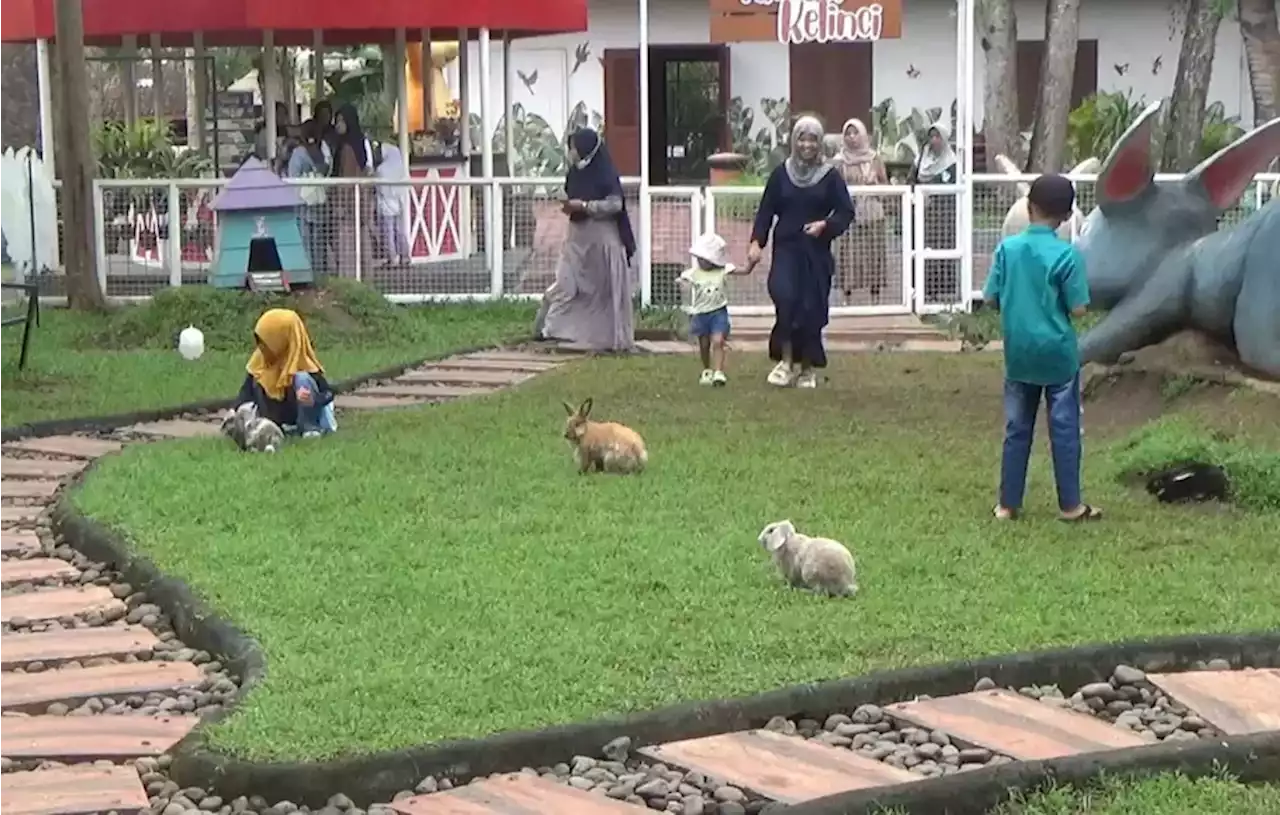 Hari Terakhir Libur Lebaran, Jember Mini Zoo Ramai Pengunjung