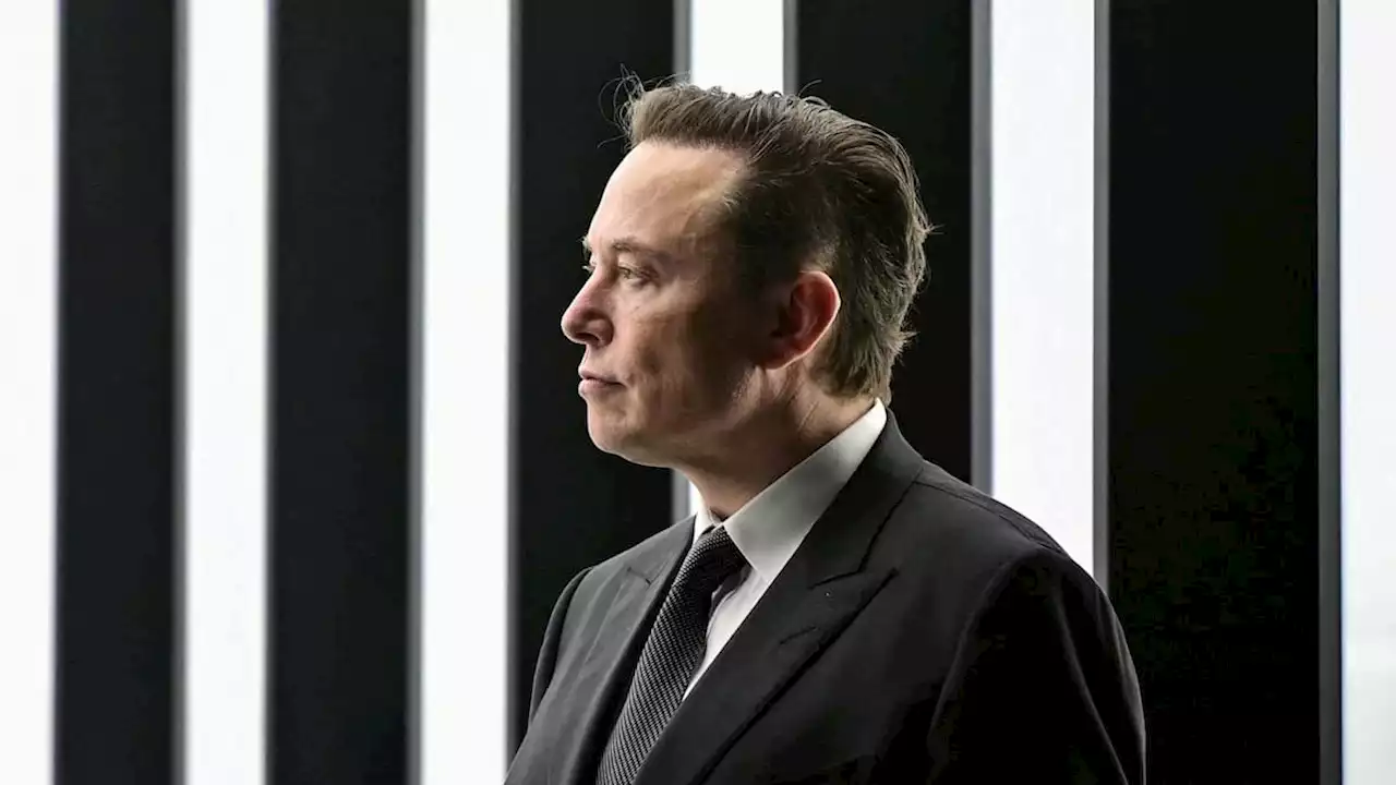 Elon Musk kontert die KI-App ChatGPT – mit «TruthGPT»