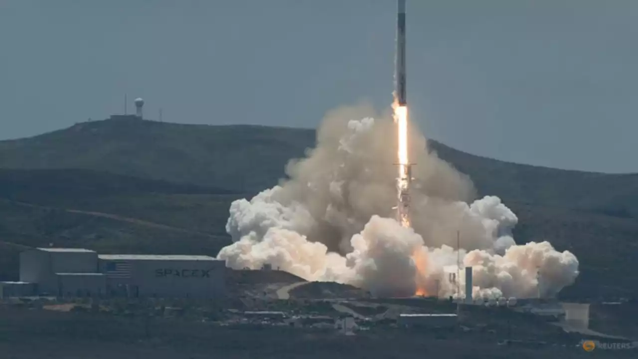 Environmentalists sue FAA over SpaceX launch license for Texas