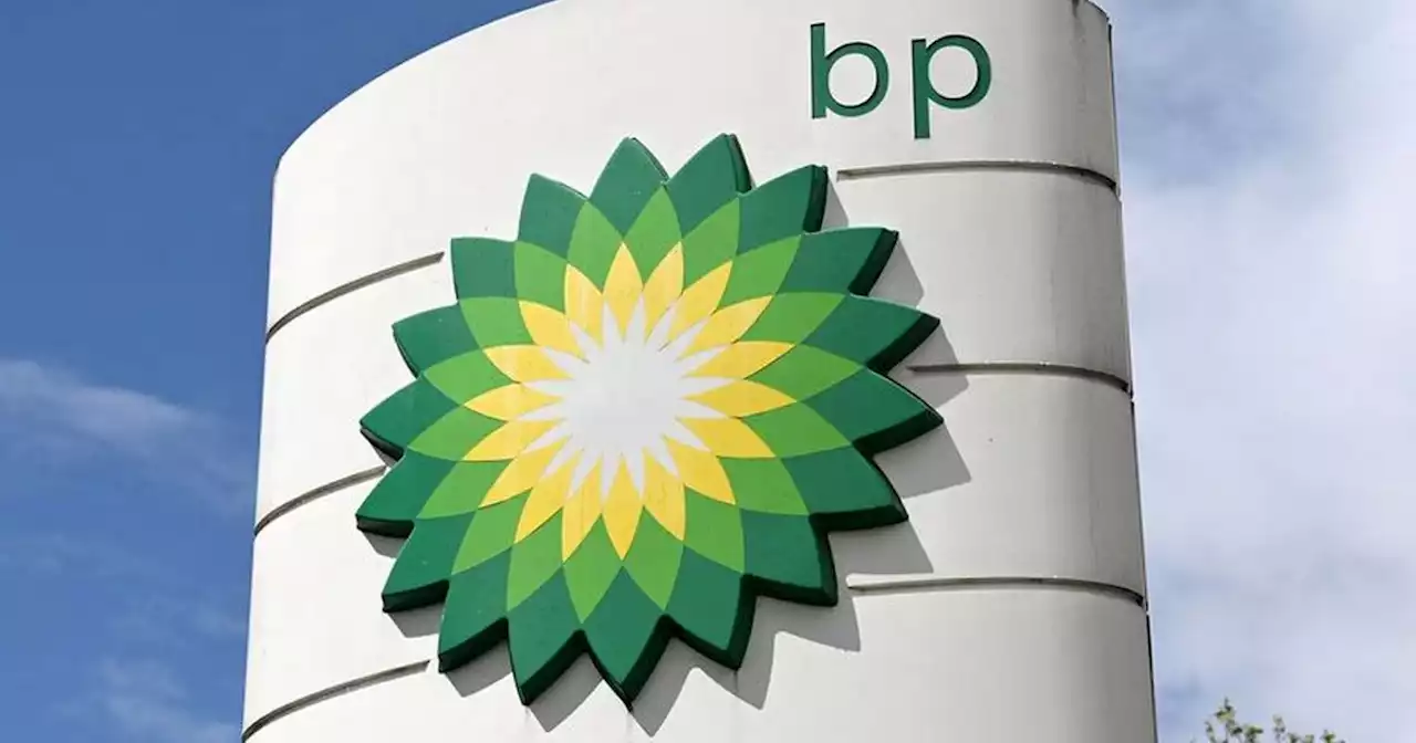 Energy fat cats like BP and Shell should pay more tax amid record profits