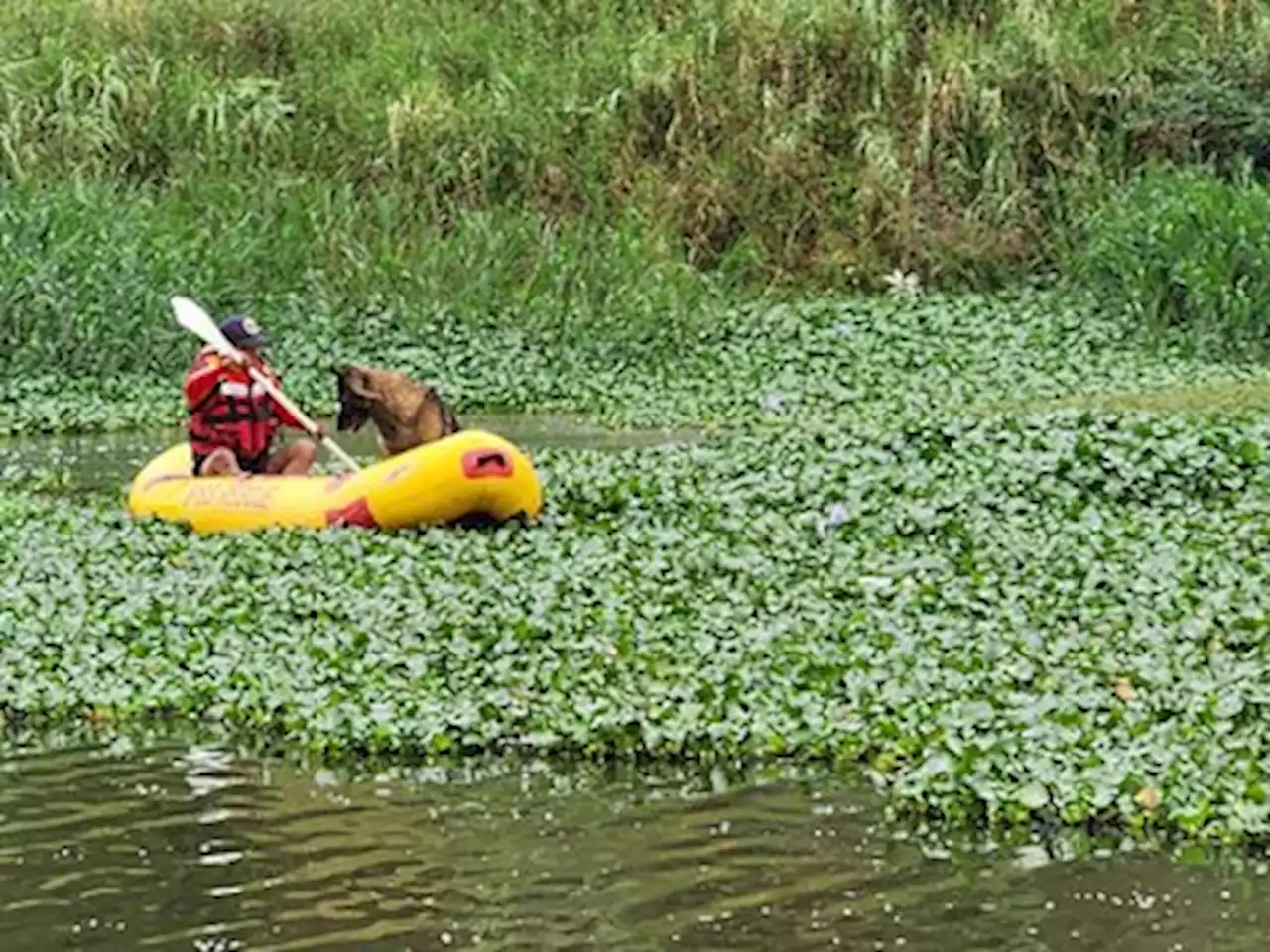 KZN Edu saddened by boys' drownings in Umdloti River