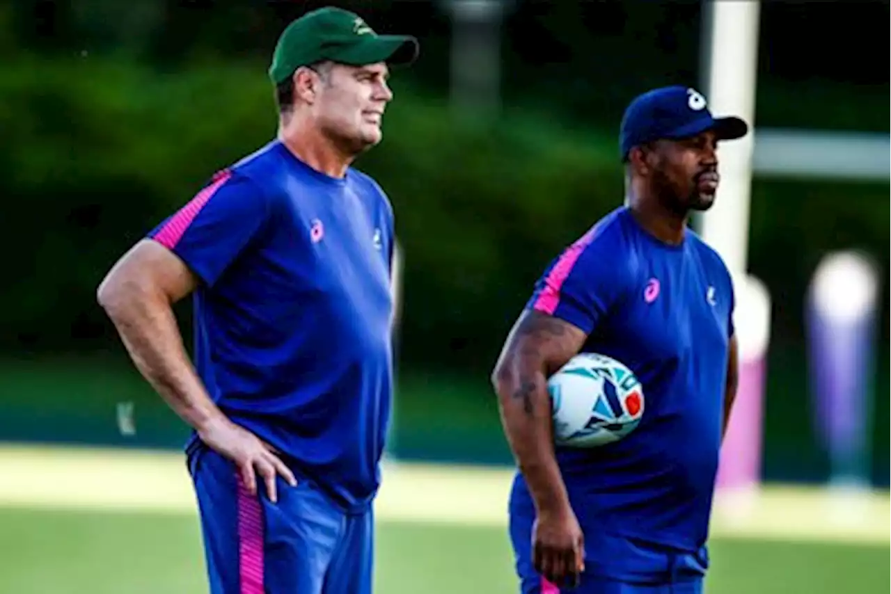 Sky's favourite rugby coach Rassie Erasmus set for 2nd Springbok coaching stint