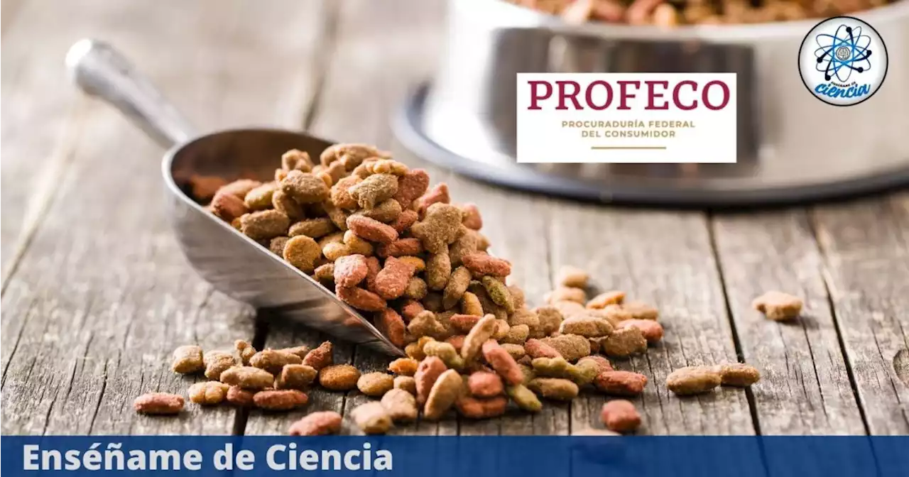 Croquetas para gato no recomendadas, no pasaron las pruebas PROFECO y son confusas para los consumidores