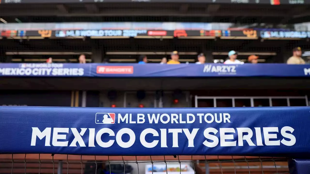 Futuras estrellas del béisbol mexicano, egresadas de la Academia Harp Helú