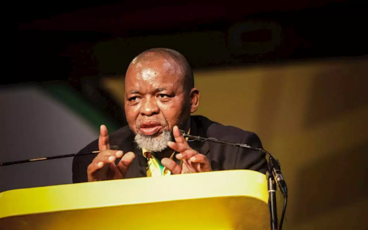 'You cannot say the alliance is dead', ANC's Mantashe tells May Day rally