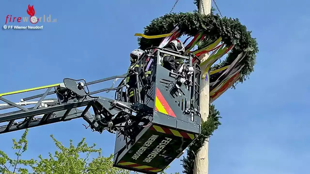 Nö: Wiener Neudorfer Maibaum angesägt