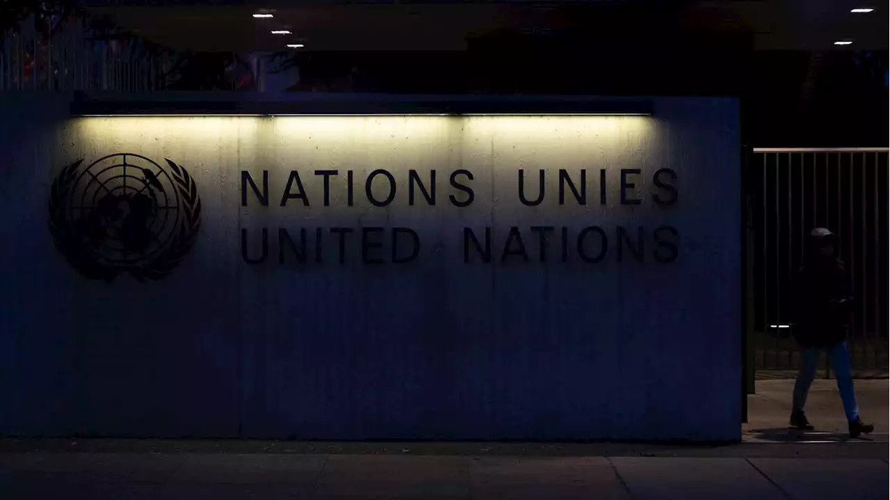 La France épinglée à l'ONU pour les discriminations raciales et les violences policières