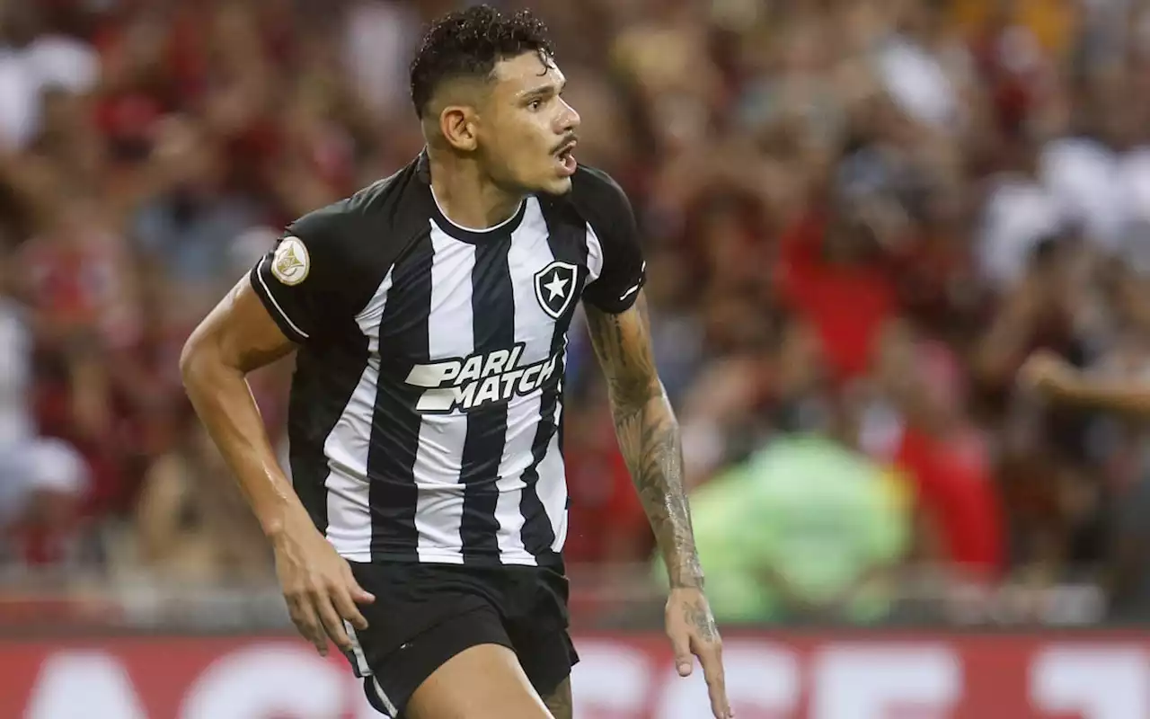 Tiquinho Soares comemora vitória do Botafogo sobre o Flamengo e exalta o grupo | Botafogo | O Dia