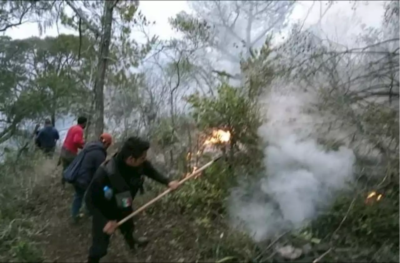 Se reaviva incendio forestal en Nicolás Flores, Hidalgo