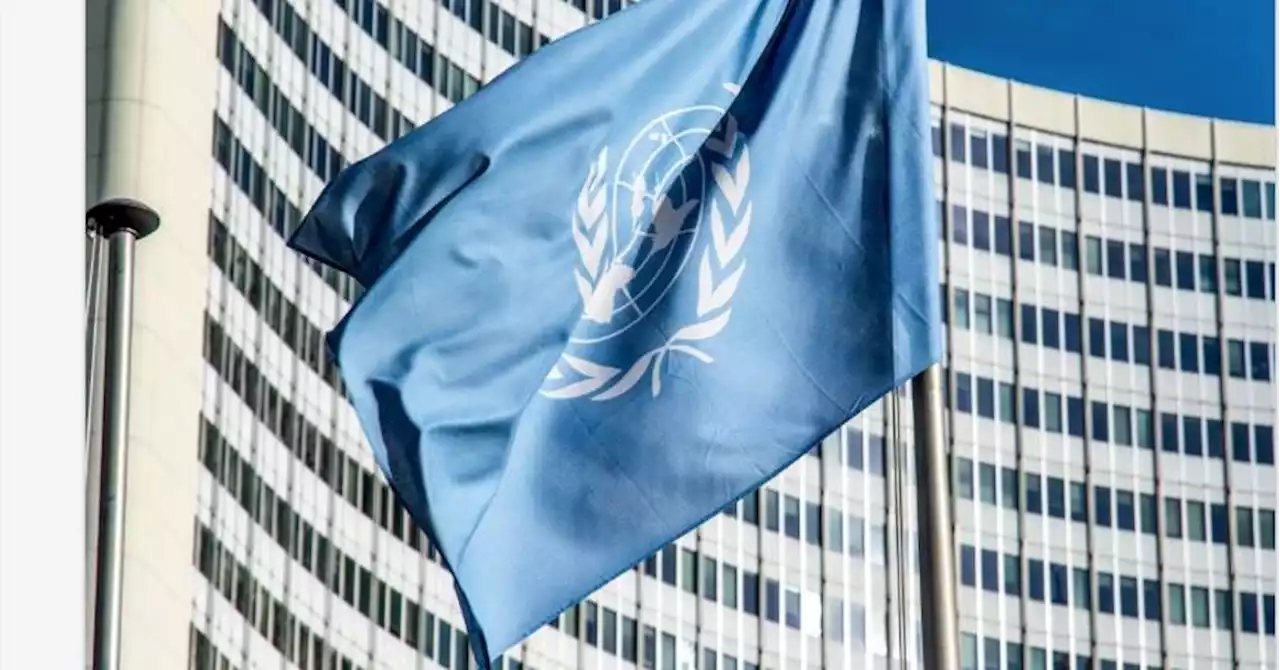 La France épinglée à l'ONU pour les discriminations raciales et les violences policières