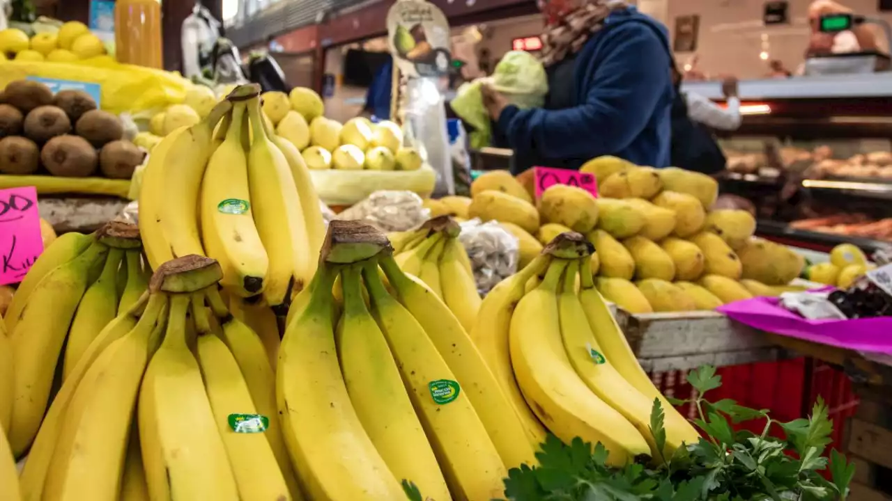 Veracruz, tercer lugar en producción de plátano en todo México