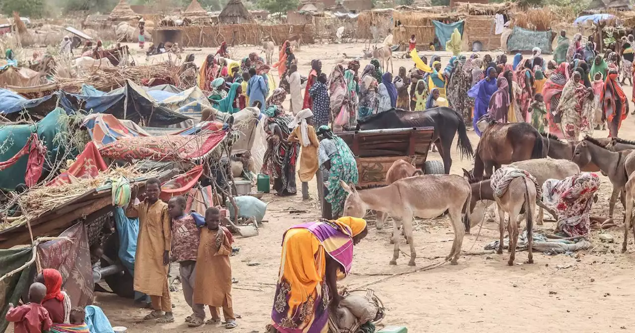 A Koufroun au Tchad, 20.000 réfugiés soudanais en grand péril