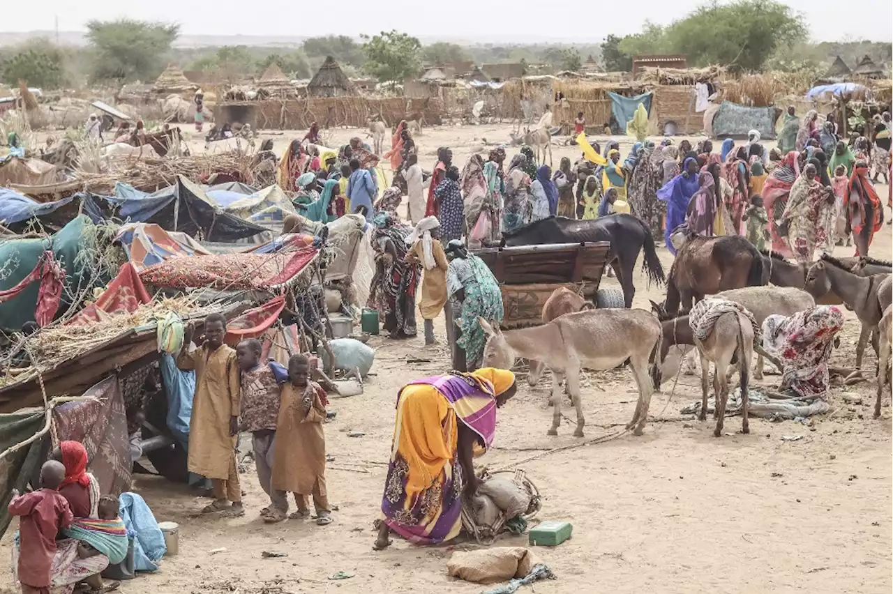 Thousands of Sudanese make perilous trek to safety in Chad