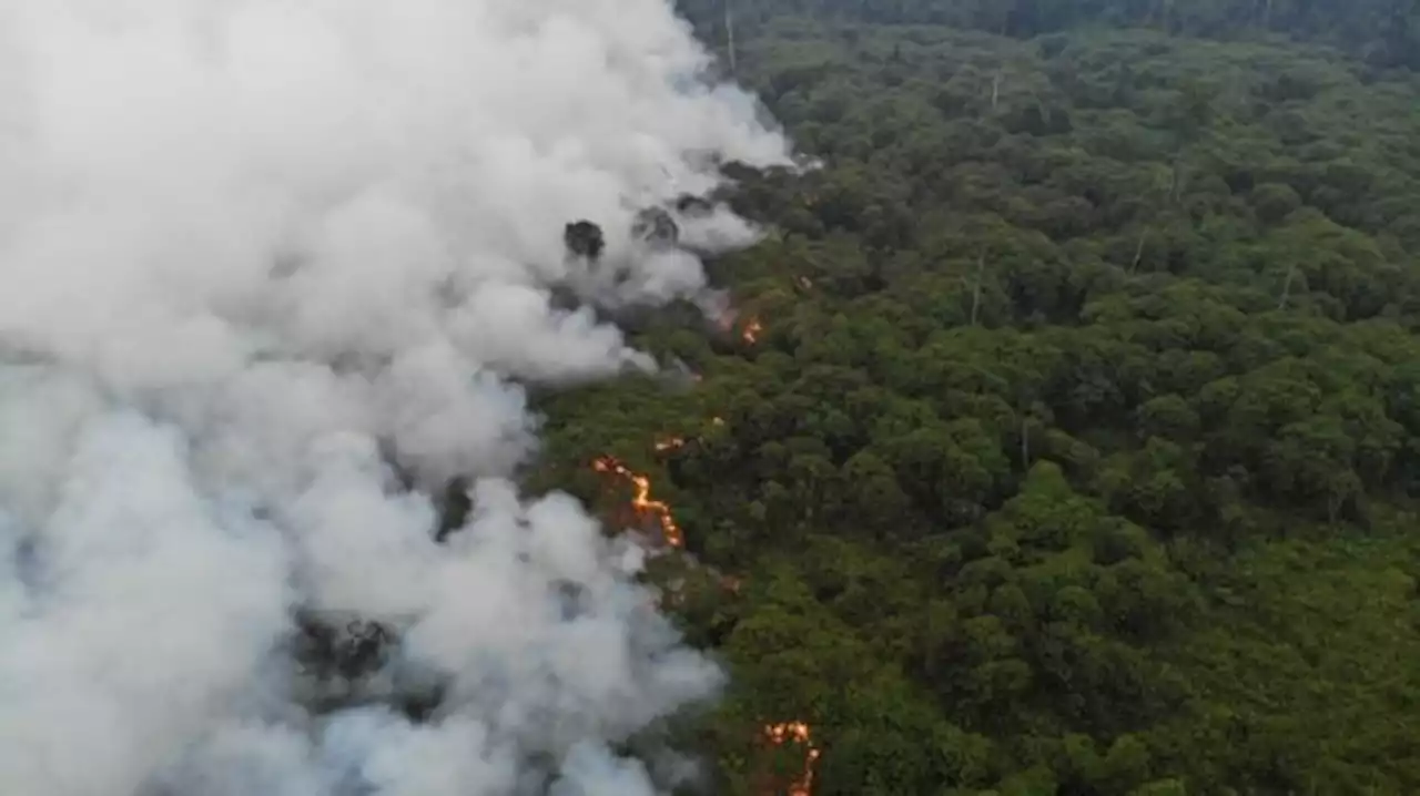 Karhutla, BRIN Persiapkan Modifikasi Cuaca di Jambi Selama 12 Hari