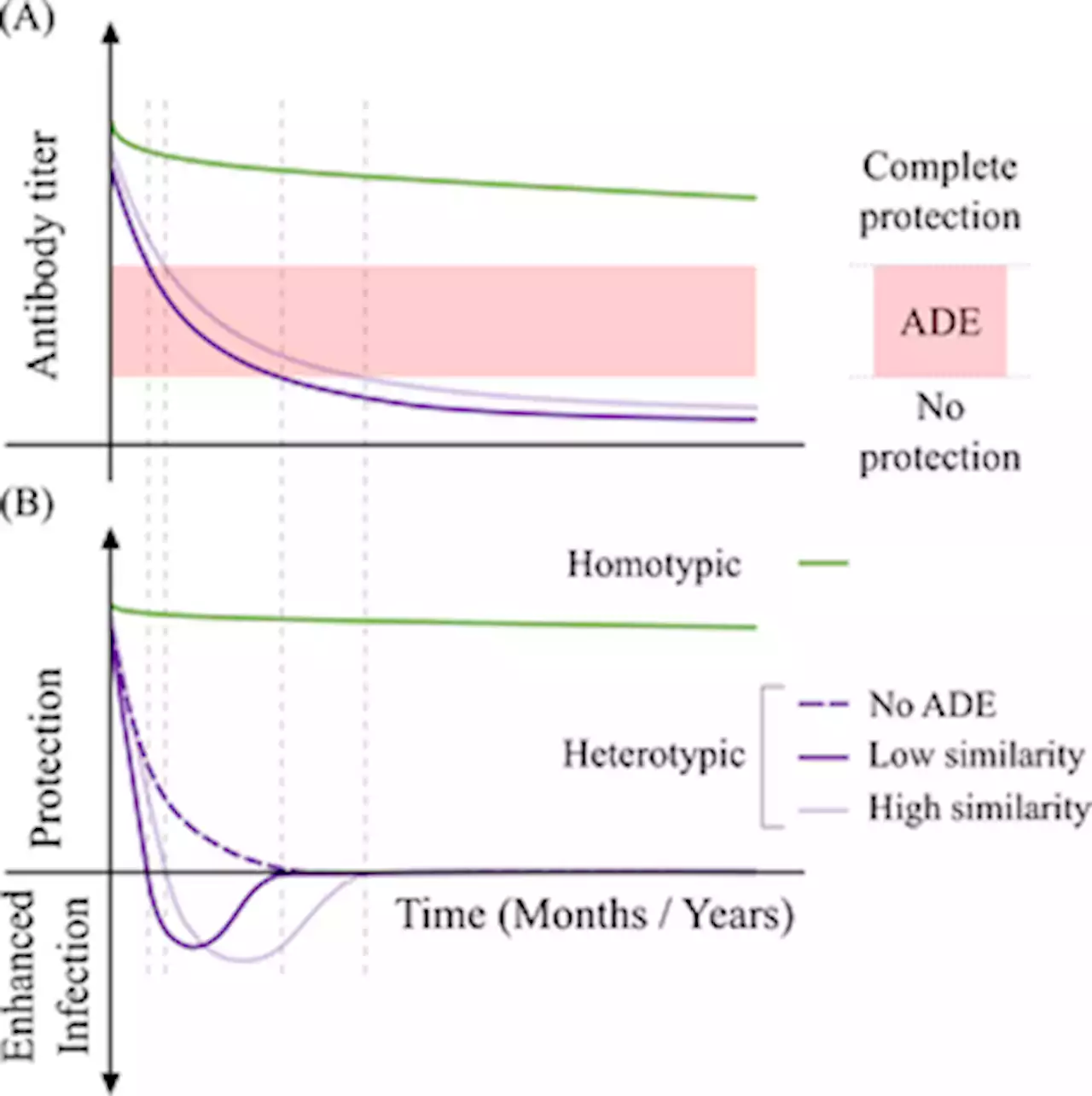 Evolutionary dynamics of dengue virus in India