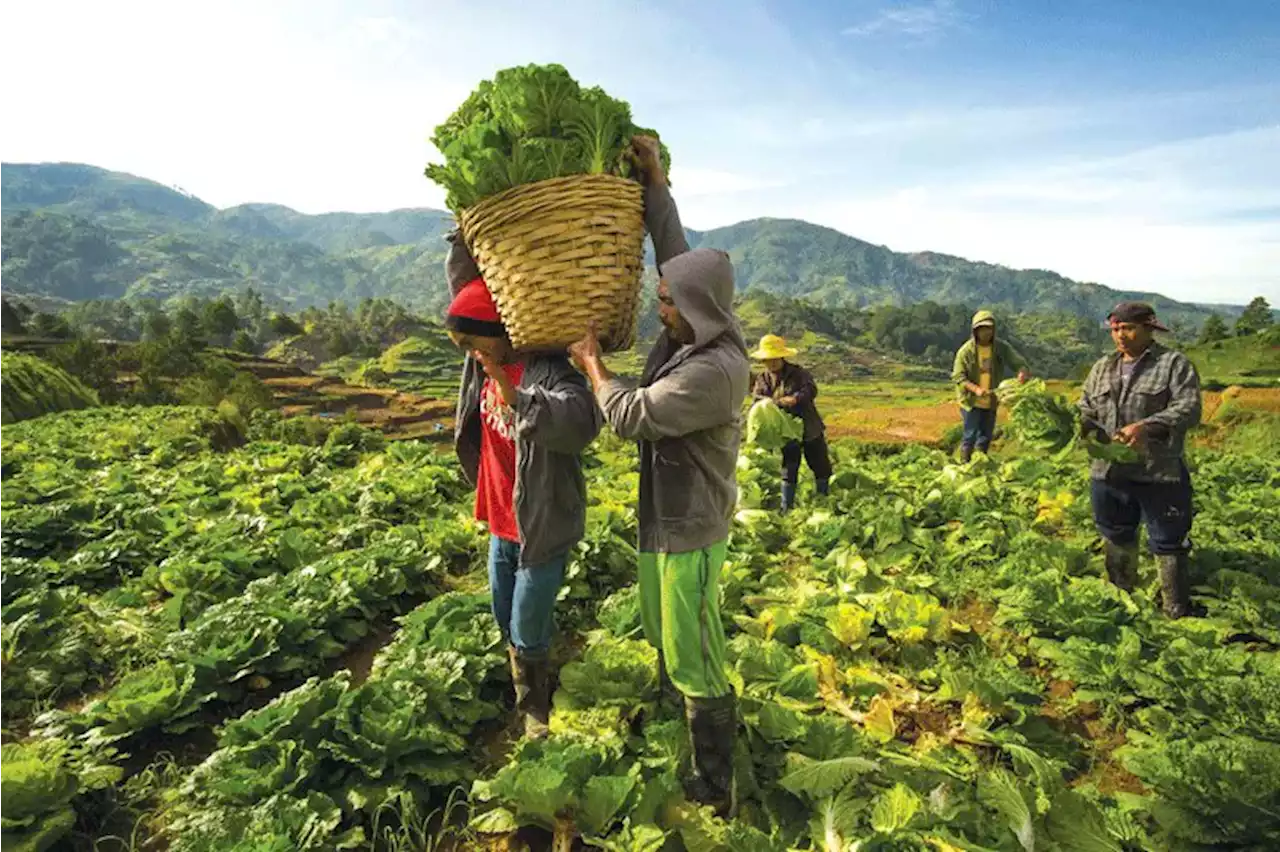 World Bank urges PH to give perks on ‘smart agriculture’