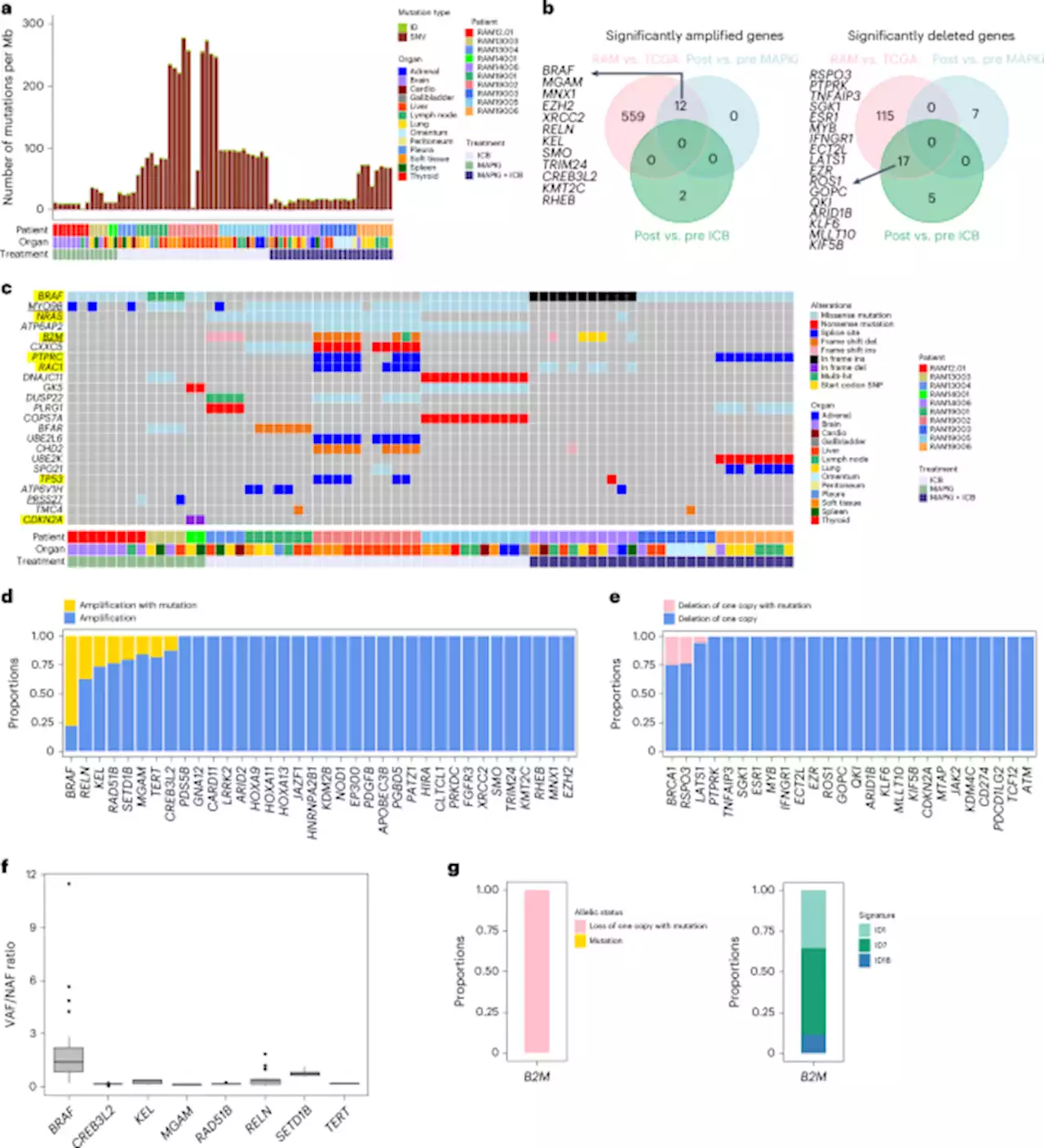 Multi-organ landscape of therapy-resistant melanoma - Nature Medicine