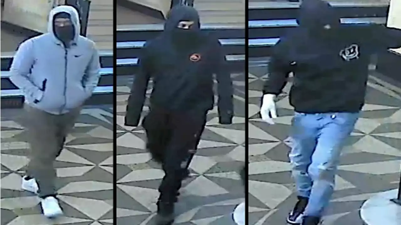 Armed Trio Pistol-Whipped Grandma, Held 5-Year-Old at Gunpoint in $40K NYC Robbery: NYPD