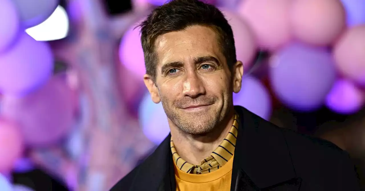 Jake Gyllenhall Is a Teacup Guy Now