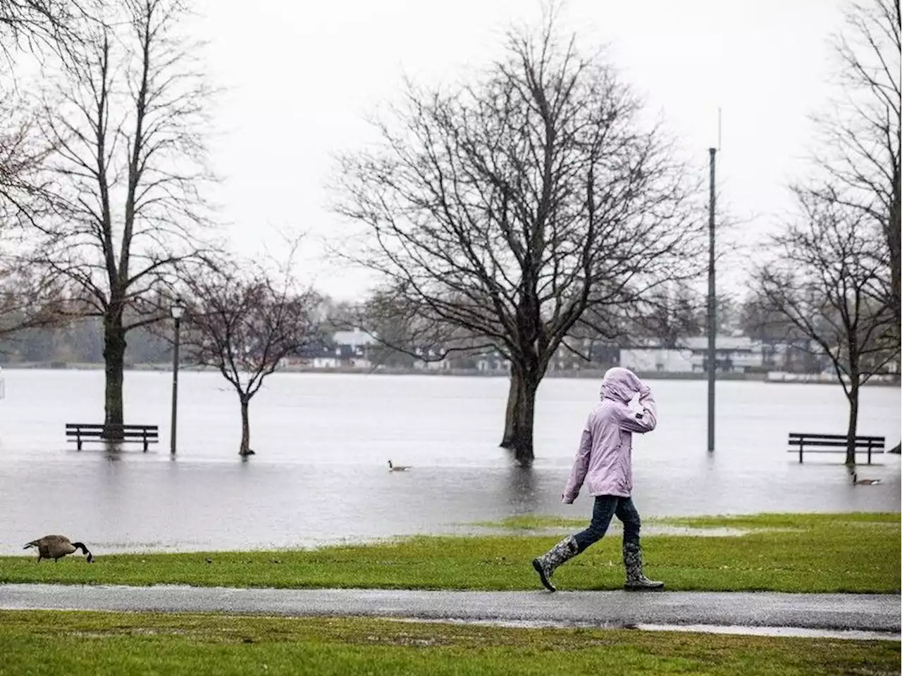 Region on edge as continued heavy rain forecasts prompt flood warnings