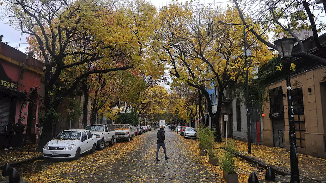 Clima en Buenos Aires: el pronóstico del tiempo para este lunes 1 de mayo | Servicio Meteorológico Nacional