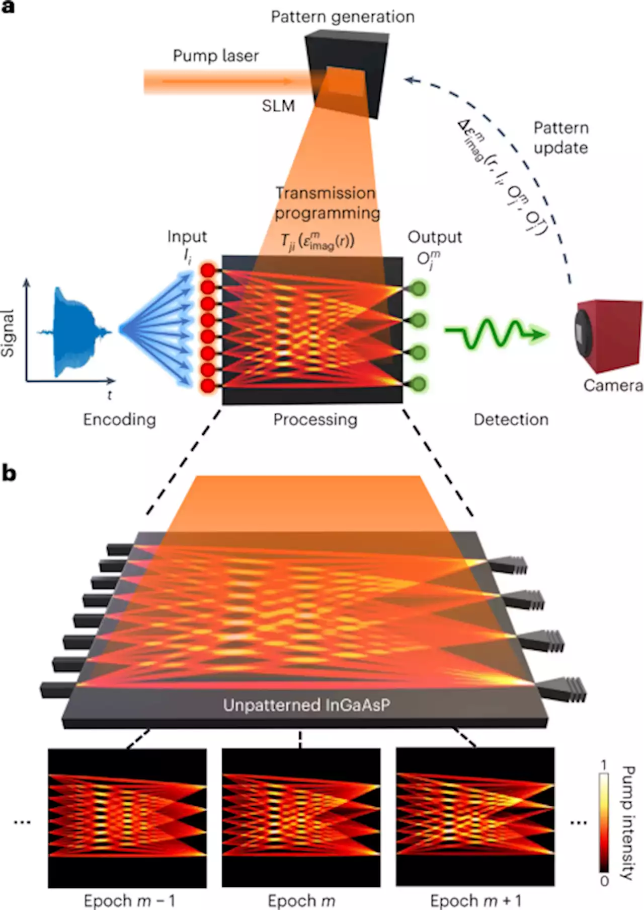 Lithography-free reconfigurable integrated photonic processor - Nature Photonics