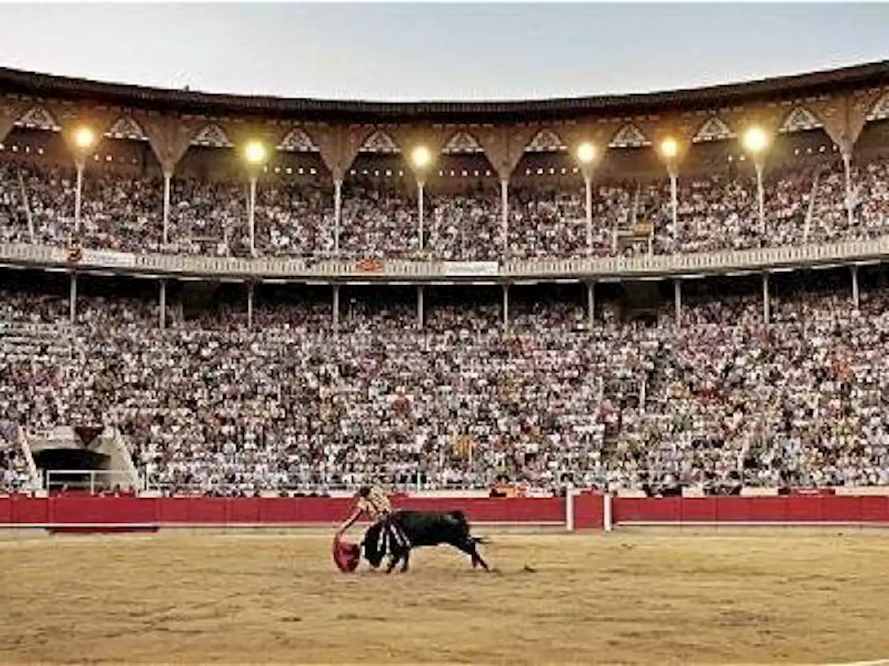 Razones que hundieron proyecto para prohibir corridas de toros