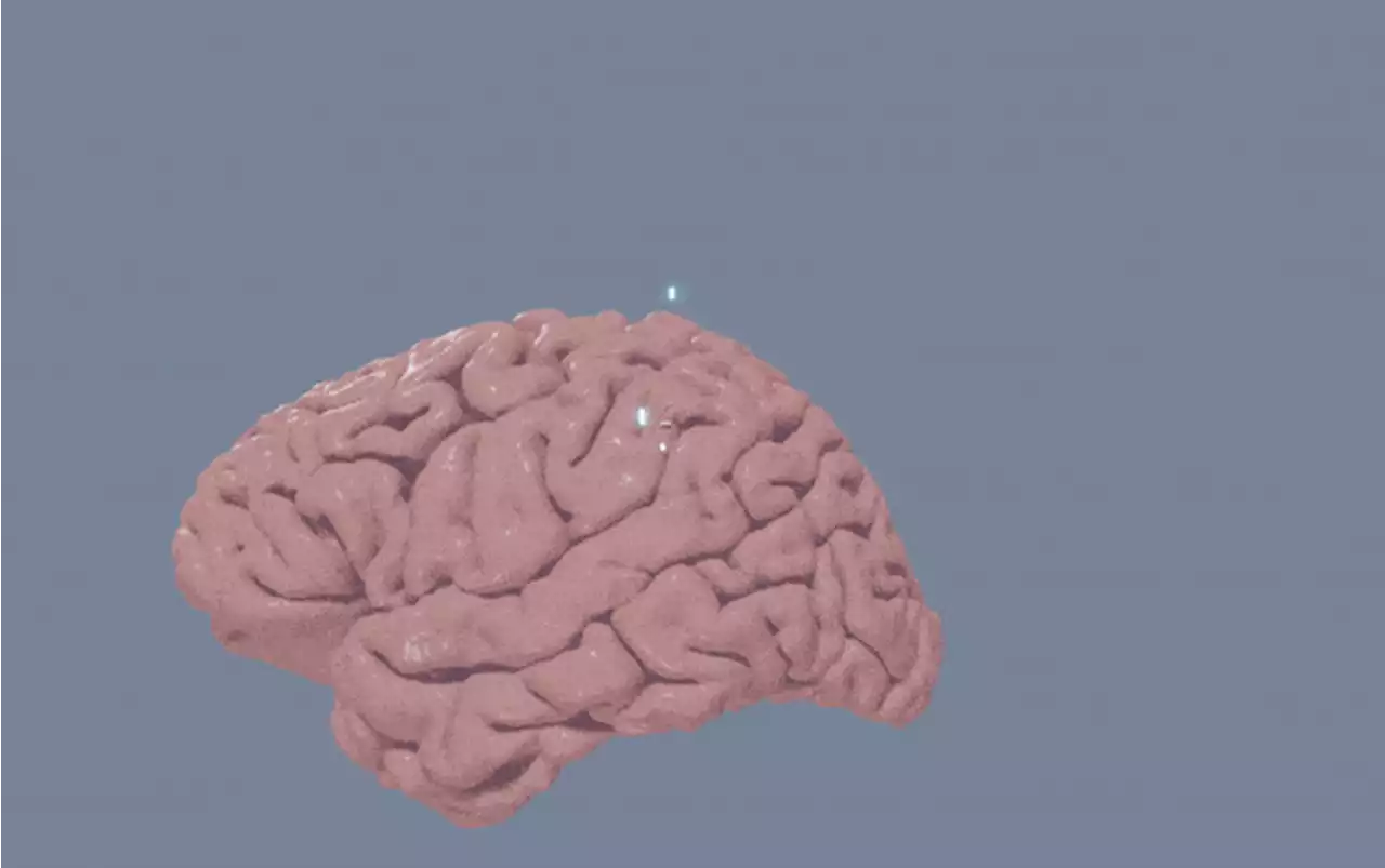 A Brain Scanner Combined with an AI Language Model Can Provide a Glimpse into Your Thoughts