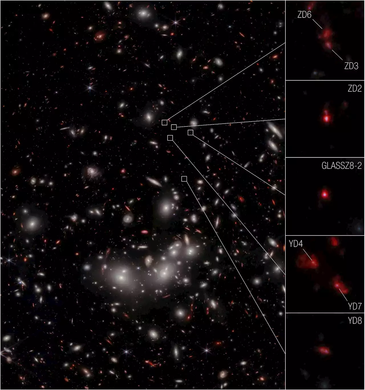 Peeking Into the Cosmic Cradle: Webb Telescope Unveils a Massive Protocluster’s Baby Photos