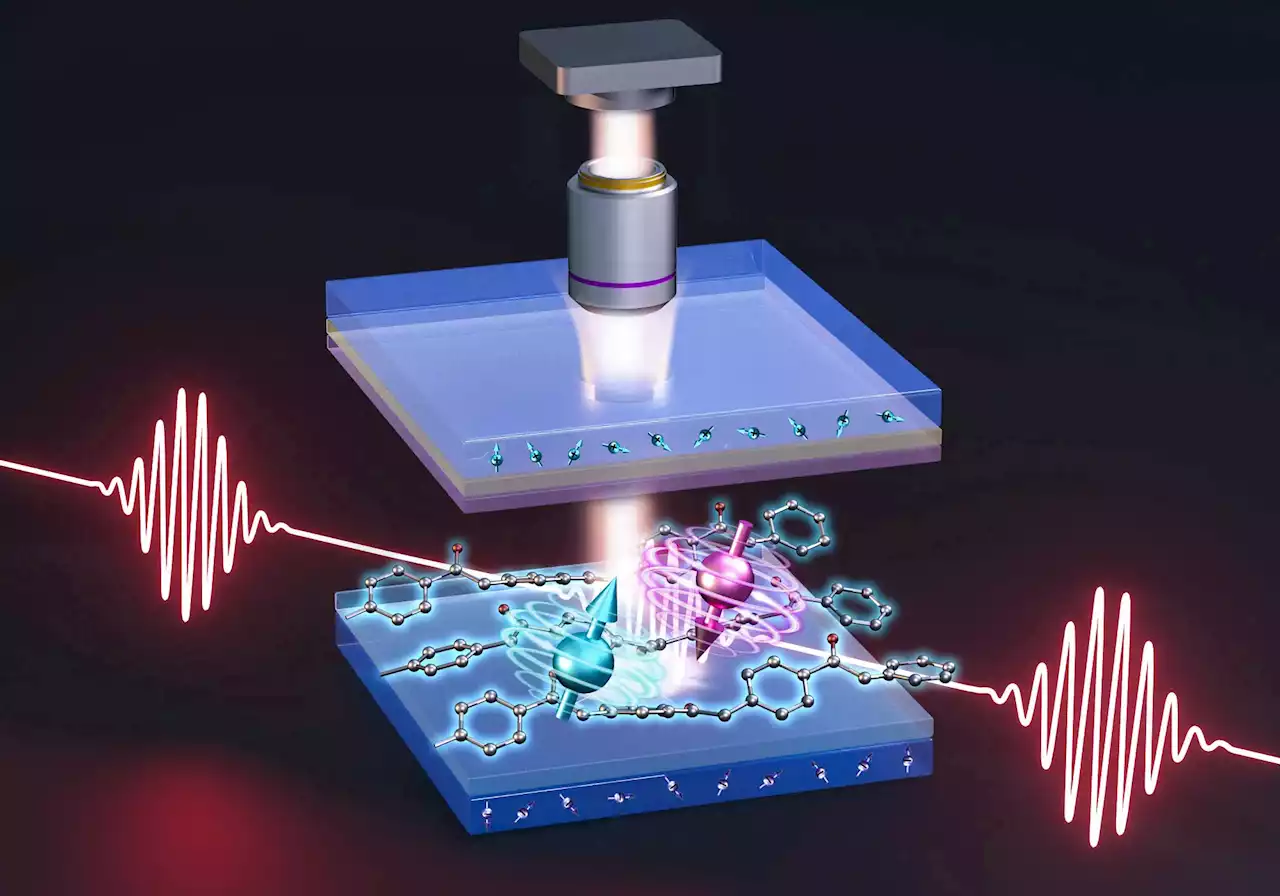 Turning Your Smartphone into a Quantum Sensor: The Power of OLEDs