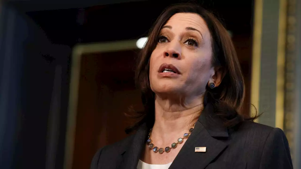 Kamala Harris needs to &#8216;lift her game&#8217; ahead of 2024 US presidential election