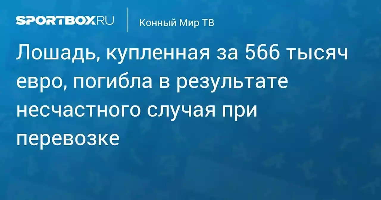 Лошадь, купленная за 566 тысяч евро, погибла в результате несчастного случая при перевозке