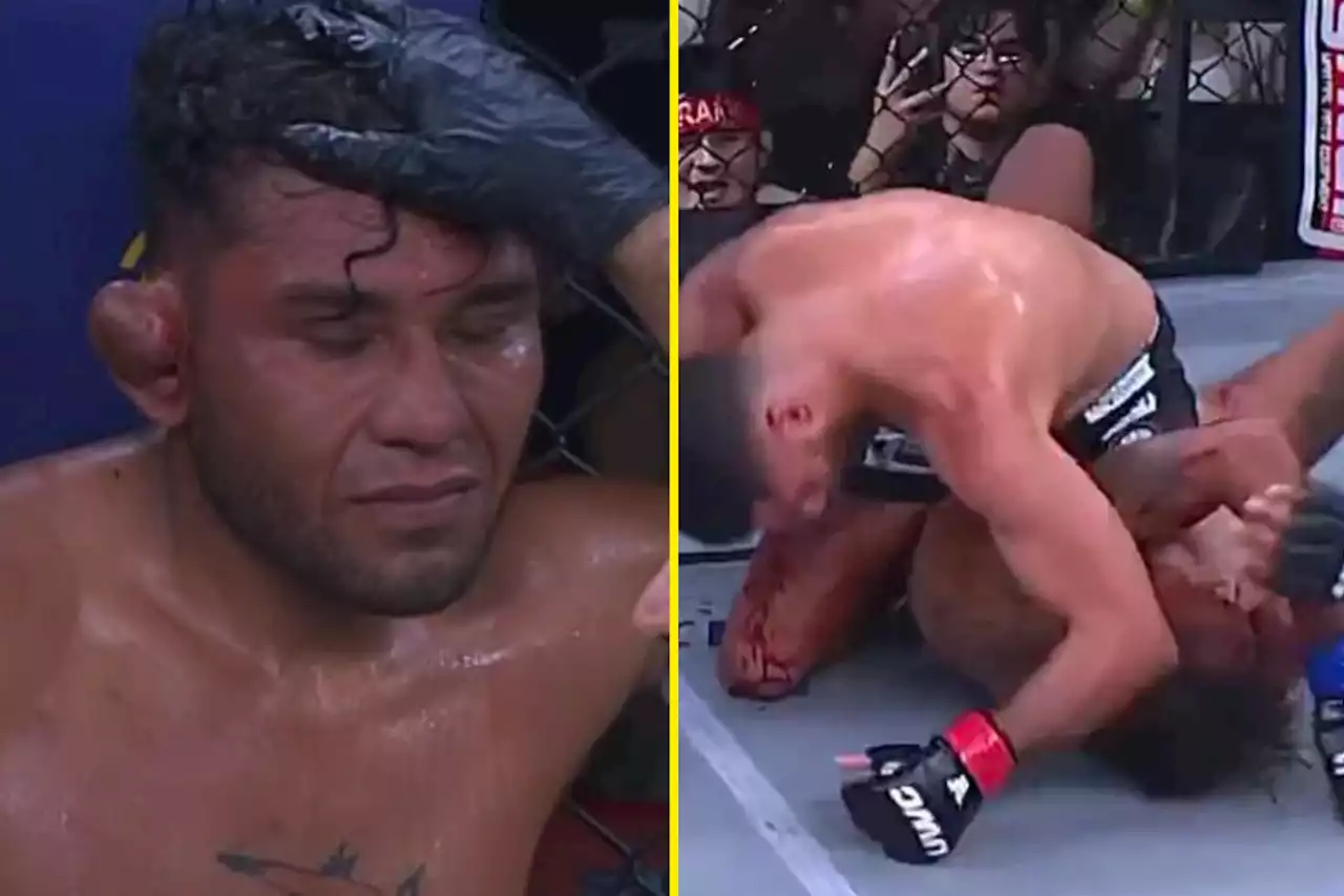 Watch Ultimate Warrior Challenge fighter lose after ear explodes during MMA title bout in Mexico