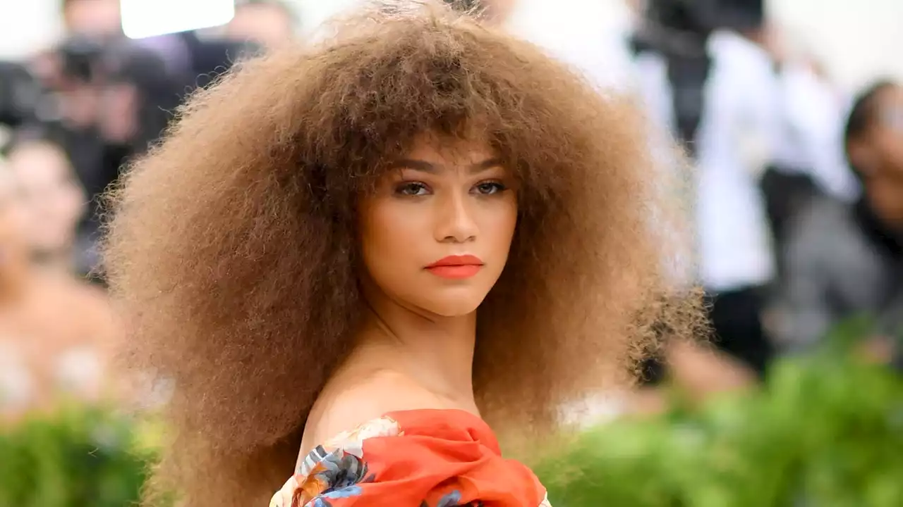 Met Gala 2023 Live Updates: Will Zendaya Be Attending?