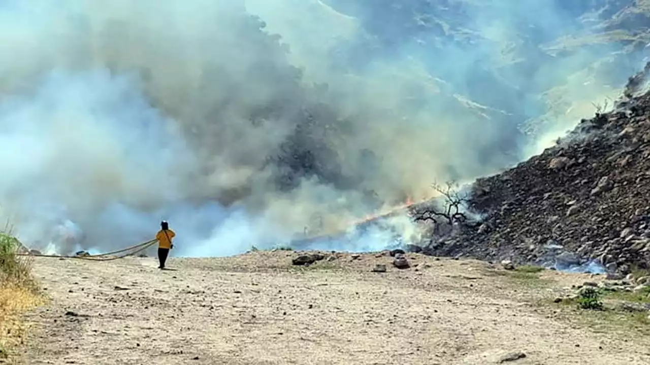 Wildfire on Mount Lemmon mostly contained by Monday afternoon