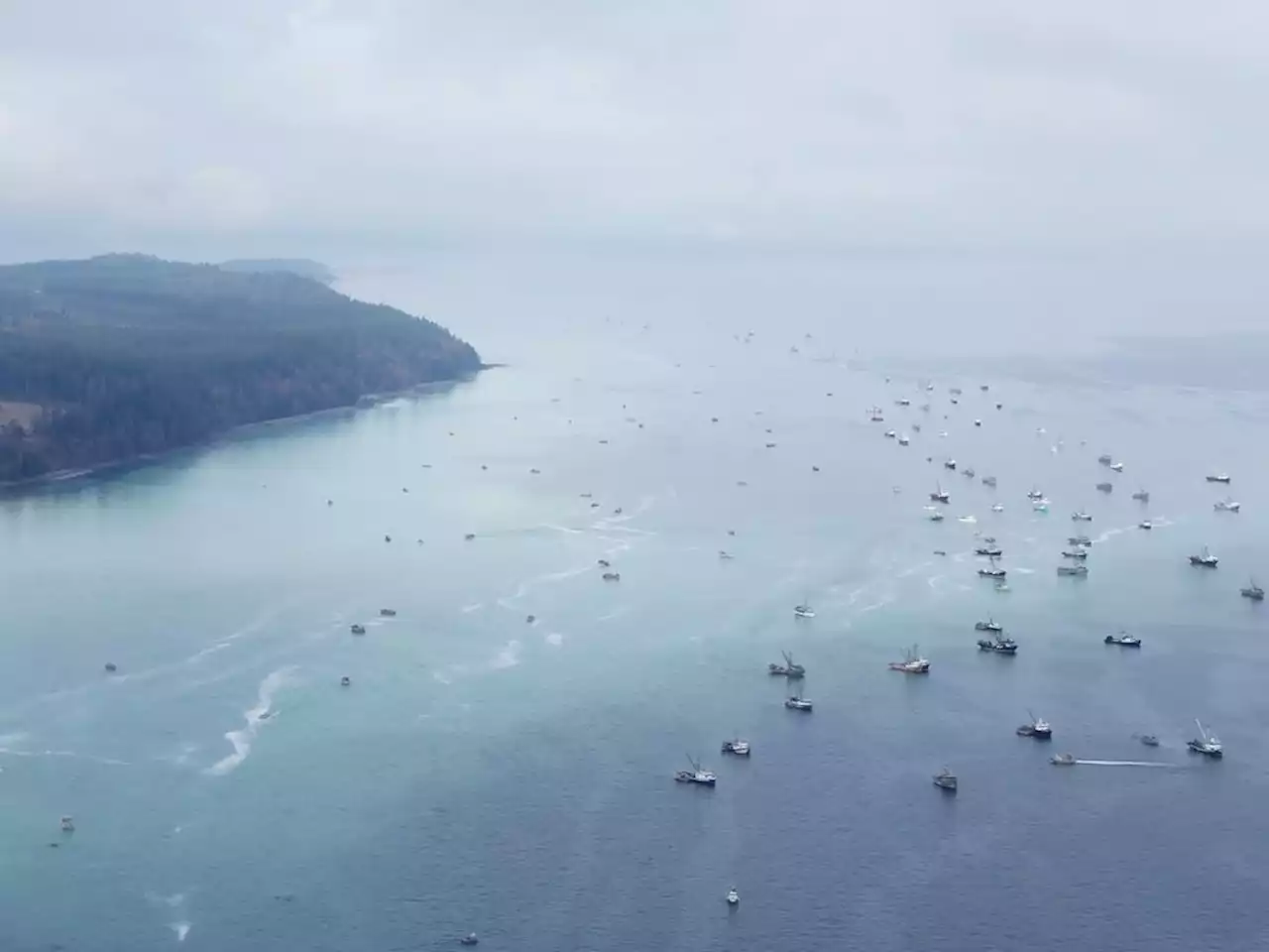 B.C. rally decries lack of federal regulation targeting ship-breaking operations